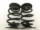 BMW Z3 Rear Coil Spring Pair-2