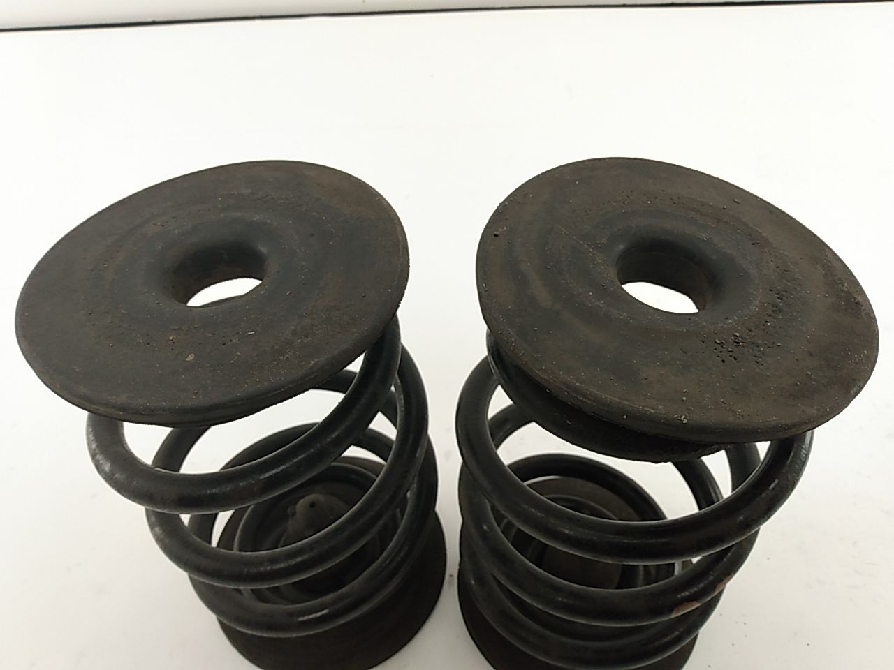 BMW Z3 Rear Coil Spring Pair