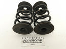 BMW Z3 Rear Coil Spring Pair-1