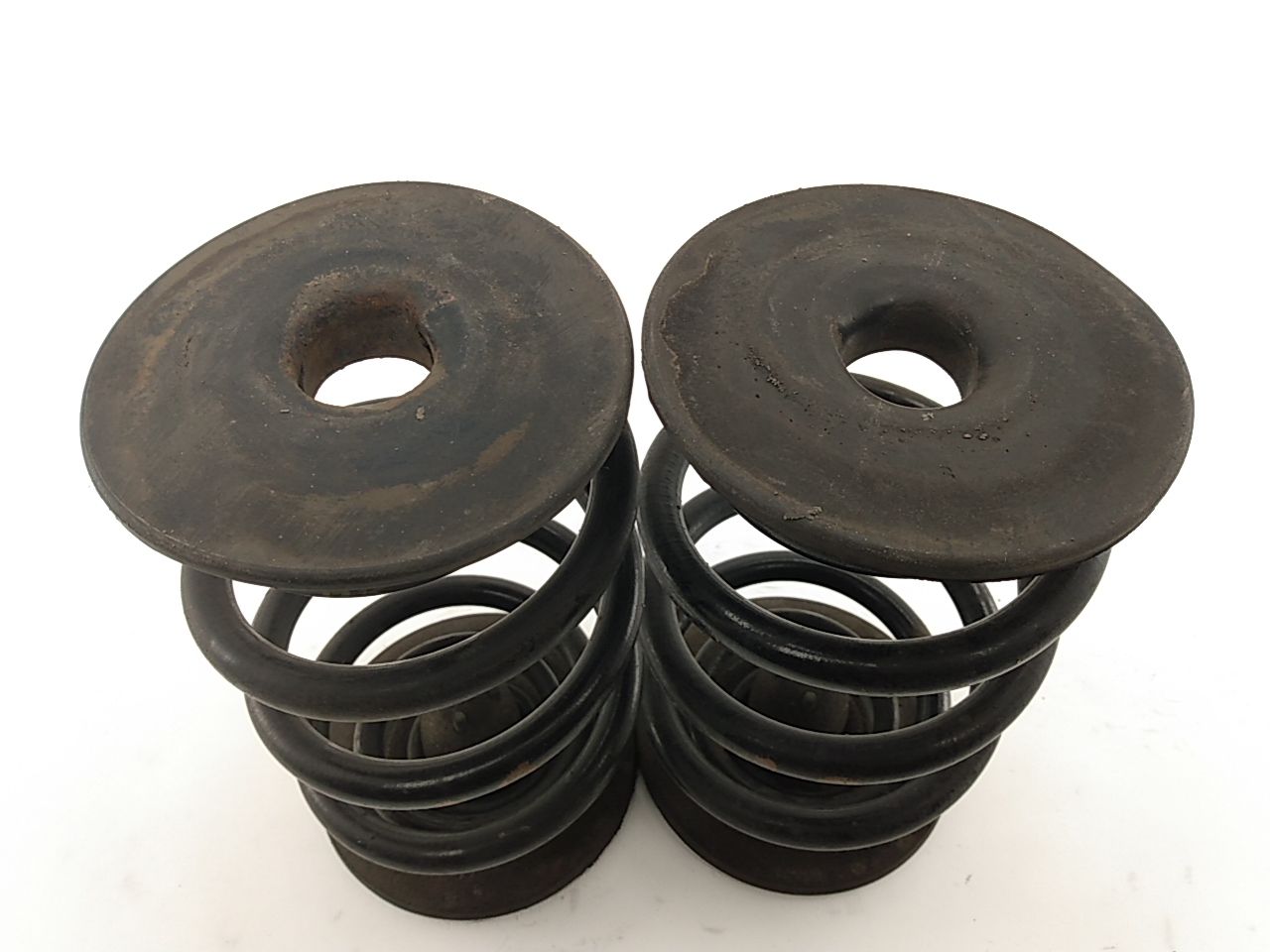 BMW Z3 Rear Coil Spring Pair