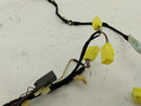 Jaguar XK8 Roof Wiring Harness-3
