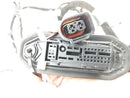 BMW Z4 Front Right Door Wiring Harness **AS-IS**-6