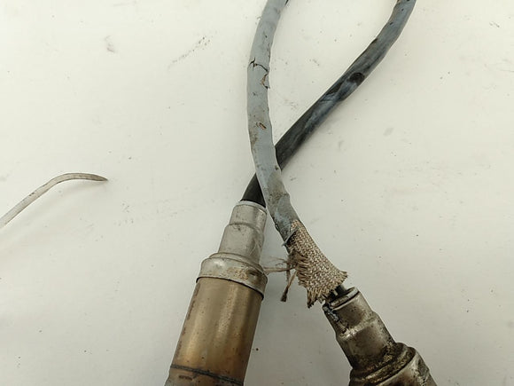 BMW Z4 Downstream Oxygen Sensors (Pair)