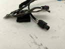 BMW Z4 Trunk Wire Harness-2