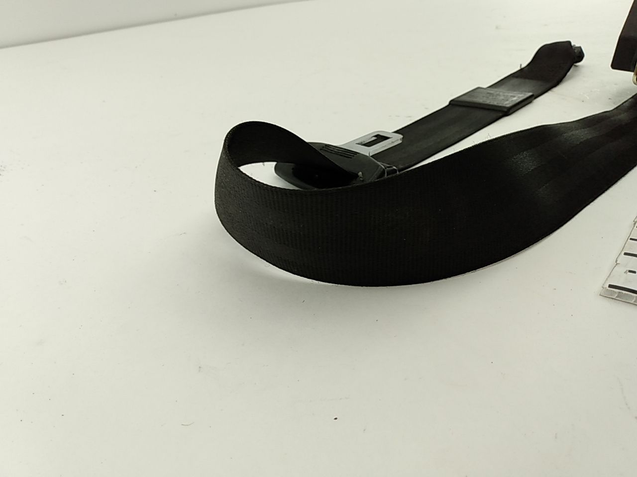 Audi TT Front Left Seat Belt