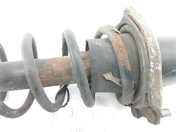 Toyota Celica Left Rear Strut Assembly