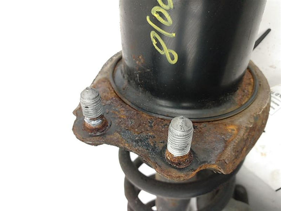 Toyota Celica Left Rear Strut Assembly