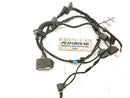 Jaguar XF Left Rear Door Harness-1