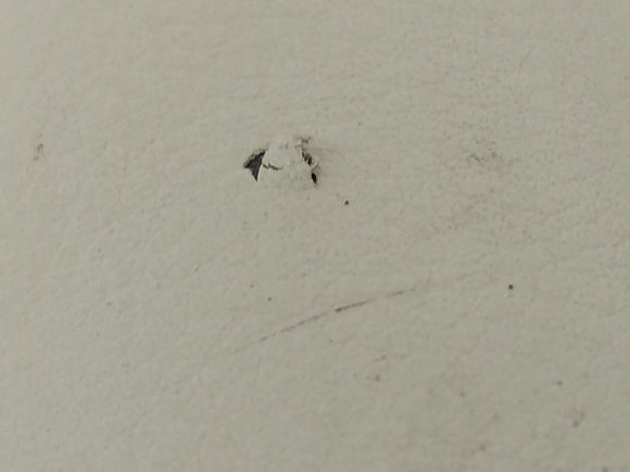 Audi A3 Front Right Seat Back Panel