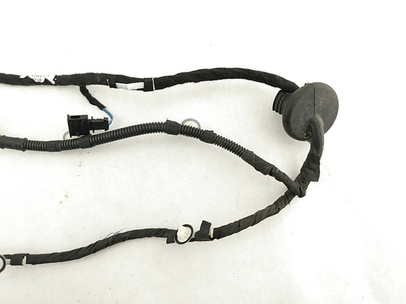 Audi A3 Rear Left Door Wire Harness