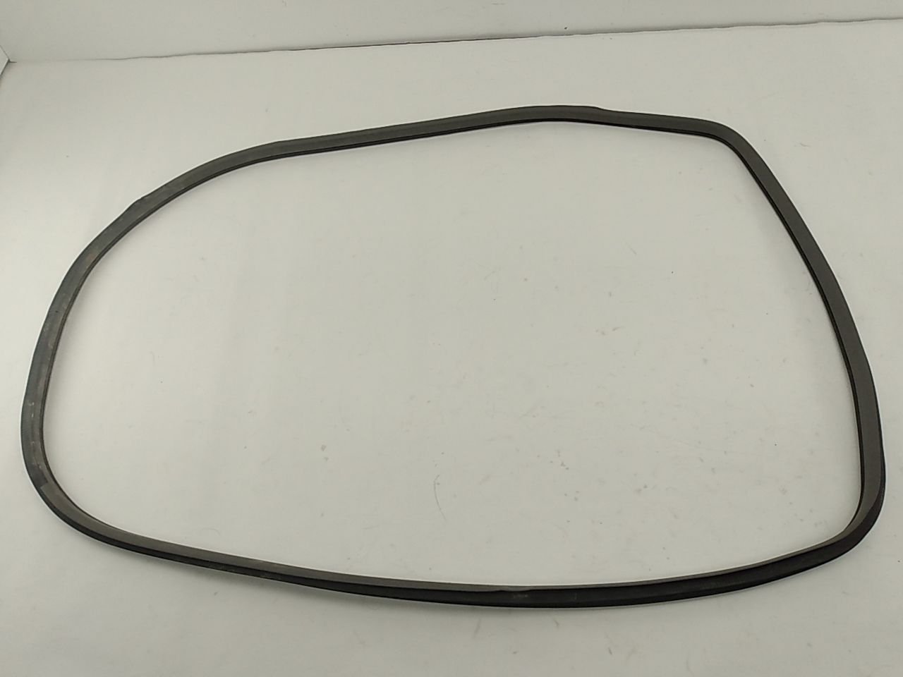 Nissan Leaf Door Seal Set (Set Of 4)