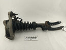 Porsche Cayenne Front Left Strut Assembly W/ Upper Control Arm-1