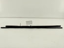 Jaguar XK8 Left Door Window Seals-4