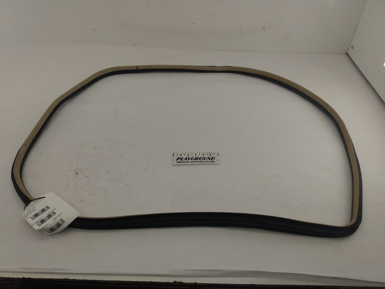 Cadillac CTS Front Right Door Seal