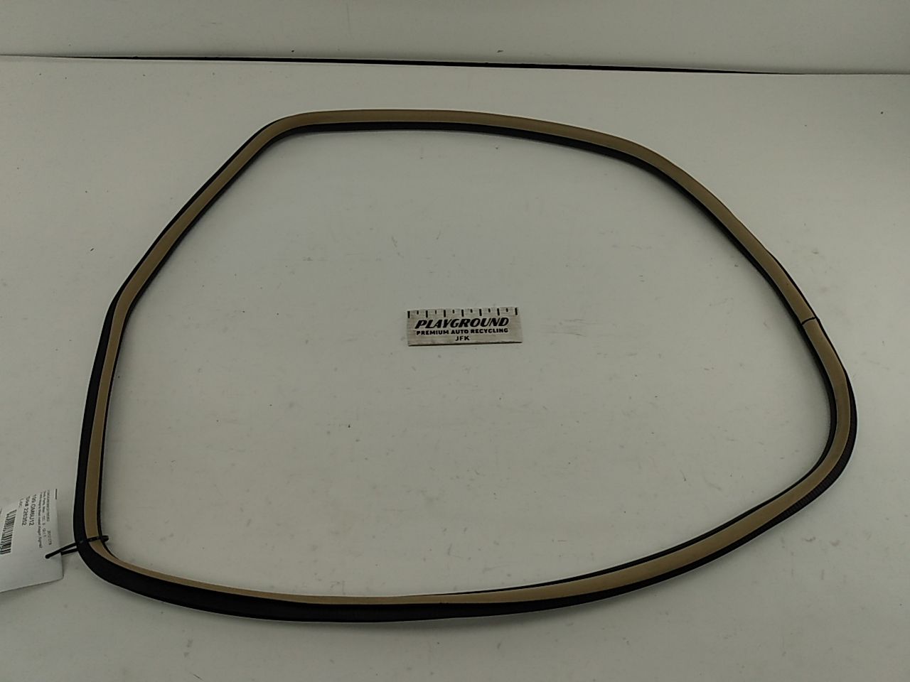 Cadillac CTS Rear Right Door Seal