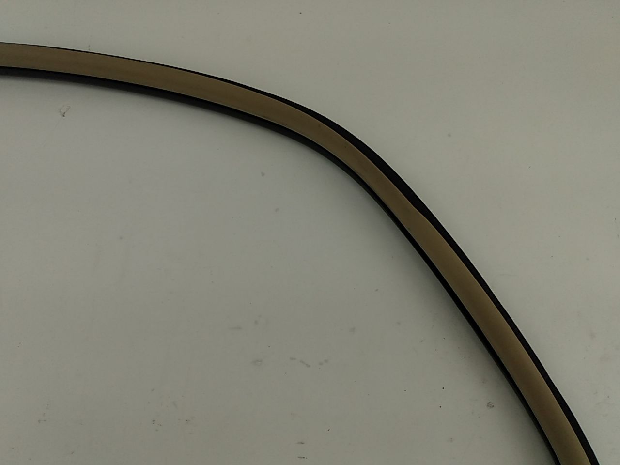 Cadillac CTS Rear Right Door Seal