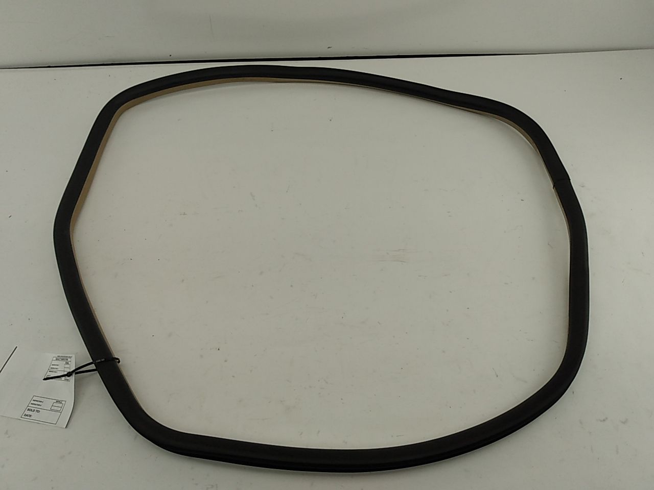 Cadillac CTS Rear Right Door Seal