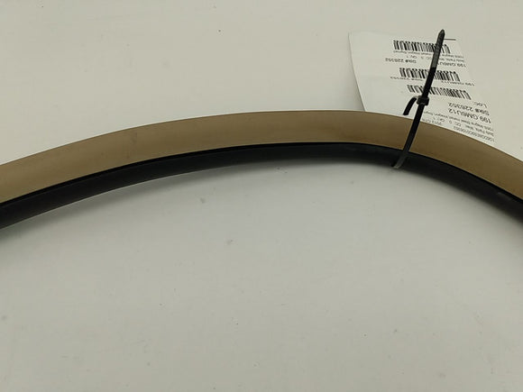 Cadillac CTS Rear Left Door Seal