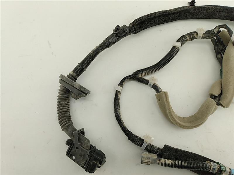 Nissan Leaf Front Left Door Wire Harness - 0