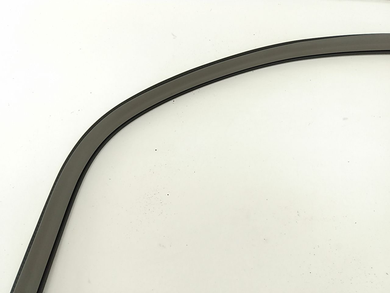 Nissan Leaf Front Right Door Seal - 0