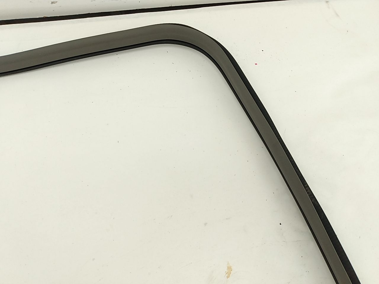 Nissan Leaf Front Right Door Seal