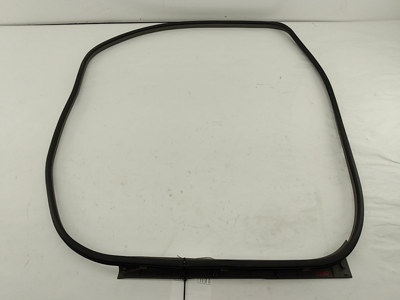 Nissan Leaf Front Left Door Seal