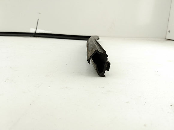 Jaguar X Type Rear Right Door Window Seal