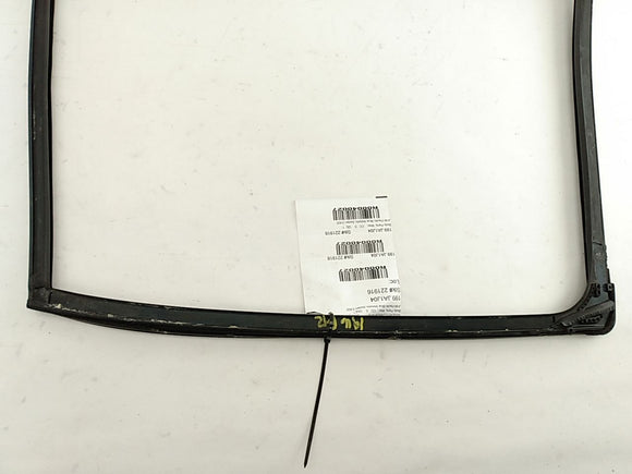 Jaguar X Type Rear Right Door Window Seal