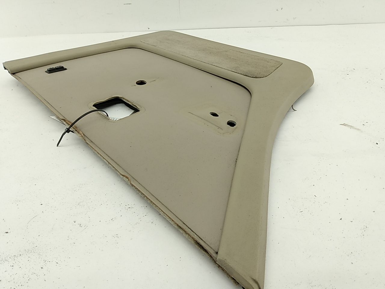 BMW 533I Rear Left Door Trim Panel