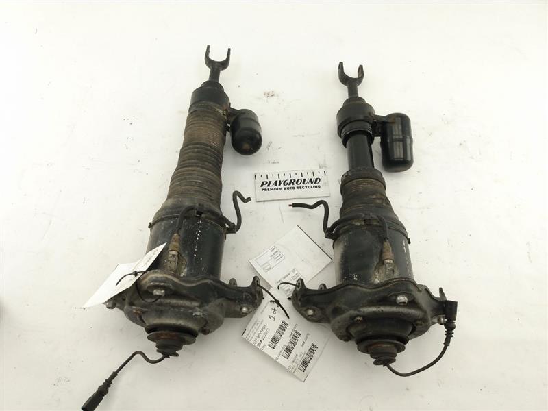 Volkswagen Phaeton Front Strut Set