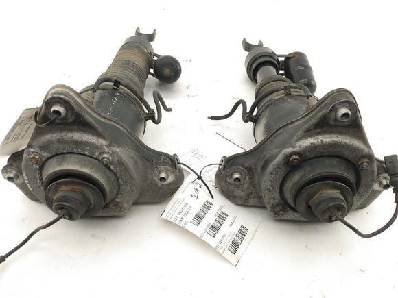 Volkswagen Phaeton Front Strut Set