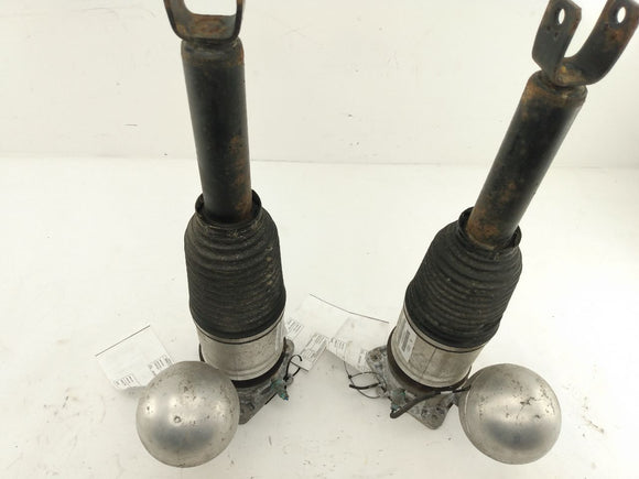 Volkswagen Phaeton Rear Strut Set