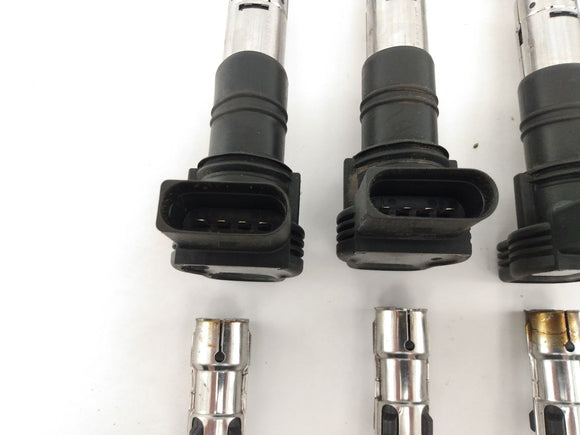 Volkswagen Phaeton Ignition Coil Set (Set Of 8)
