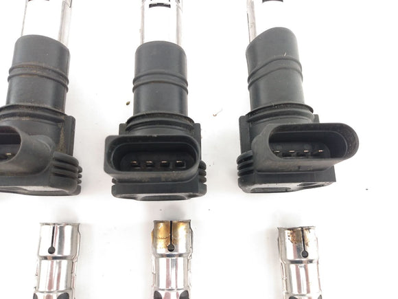 Volkswagen Phaeton Ignition Coil Set (Set Of 8)