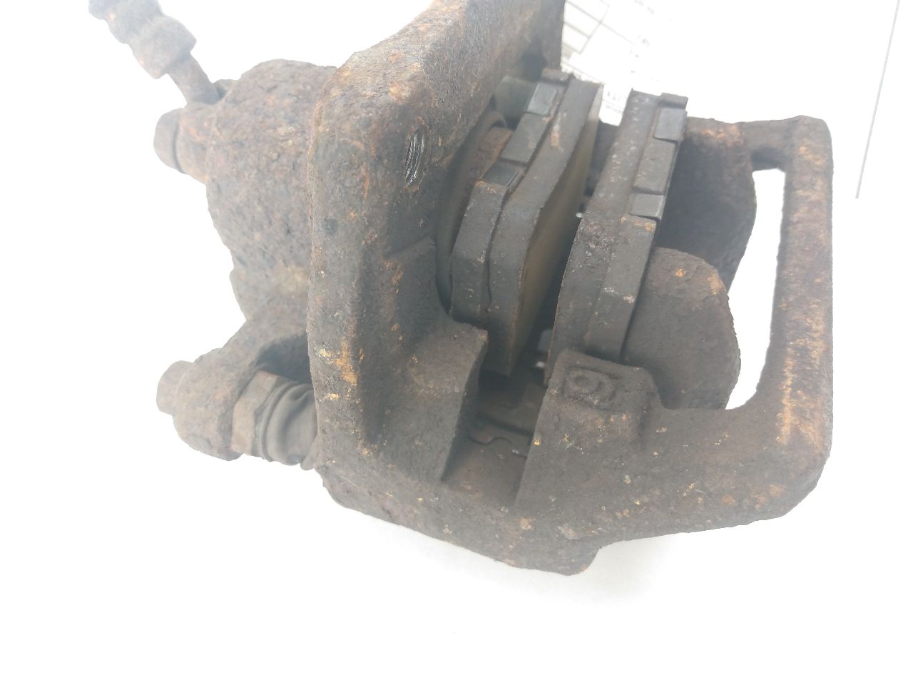 Acura CL Rear Left Caliper