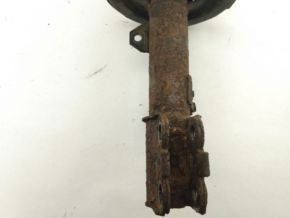 Toyota Celica Strut Assembly