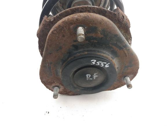 Toyota Celica Strut Assembly