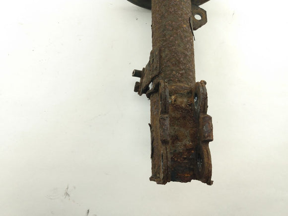 Toyota Celica Strut Assembly