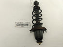 Toyota Celica Rear Right Strut Assembly-1