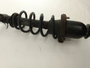 Toyota Celica Rear Right Strut Assembly-3