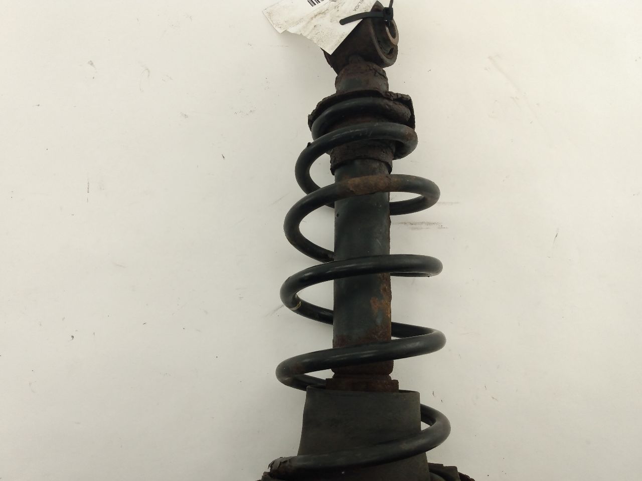 Toyota Celica Rear Left Strut Assembly