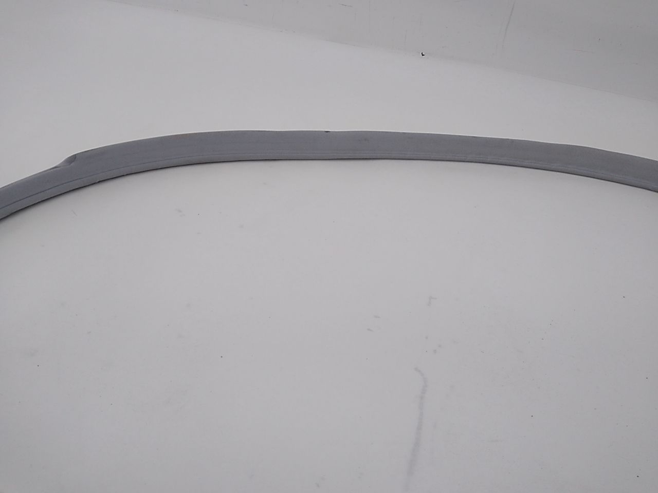 Mercedes S430 Front Right Door Moulding Seal