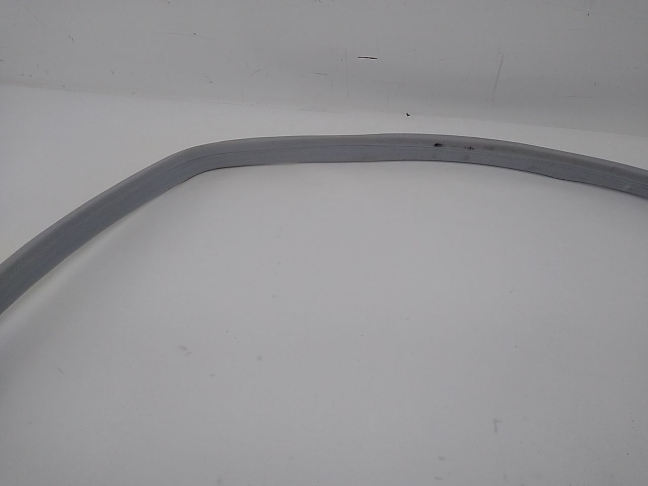 Mercedes S430 Rear Left Door Moulding Seal