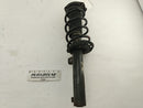 Volkswagen Eos Front Left Strut-1