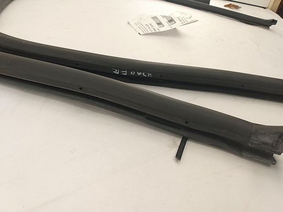 Volkswagen Eos Pair Of Front Door Moulding