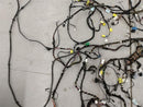 Jaguar XK8 Firewall Back Body Wiring Harness-5