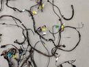 Jaguar XK8 Firewall Back Body Wiring Harness-7