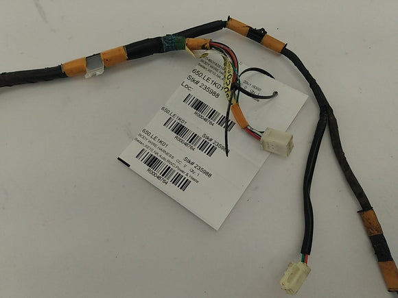 Lexus IS300 Rear Right Door Wiring Harness