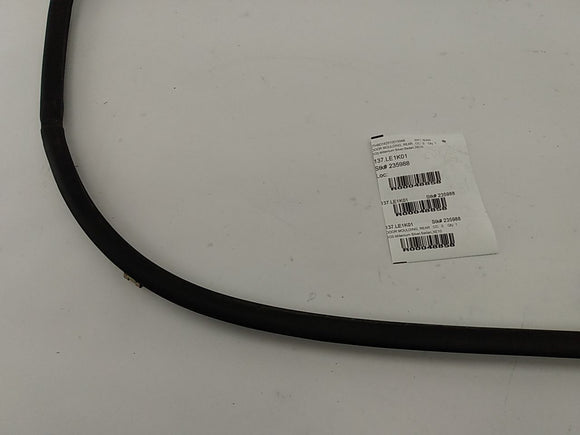 Lexus IS300 Rear Left Door Moulding