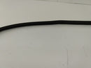Lexus IS300 Rear Left Door Moulding-5